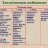 9 Najproduktivnije sorte krastavaca za otvoreno tlo