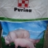 Purin za svinje i prasad